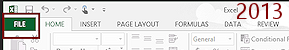 File tab on ribbon (Excel 2013)