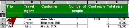 Inserted new row 5. Has same formatting as column labels.