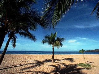 beach photo