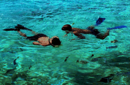 Two snorkelers