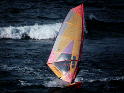 Windsurfing photo
