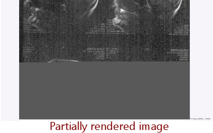 Page loading stopped (IE11)