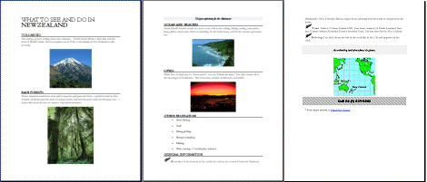NZinfo.doc