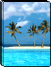 Palms