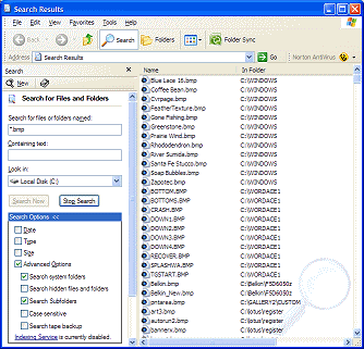 Dialog: Search - on drive C including system folders (WinXP)