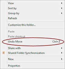 Right Click Menu: Undo Move (Win8)