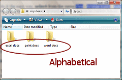 my docs folder with three folders autoarranged (Vista)