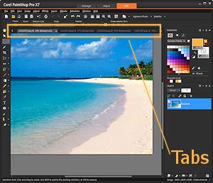 Tabbed windows inside PaintShopPro X7 (Win10)