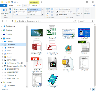File Explorer with Large Icons in Contents pane (Win10)