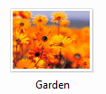 Large Icon (Vista)