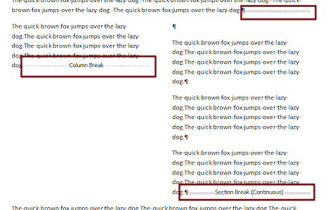 Column Break forces following text into next column.
