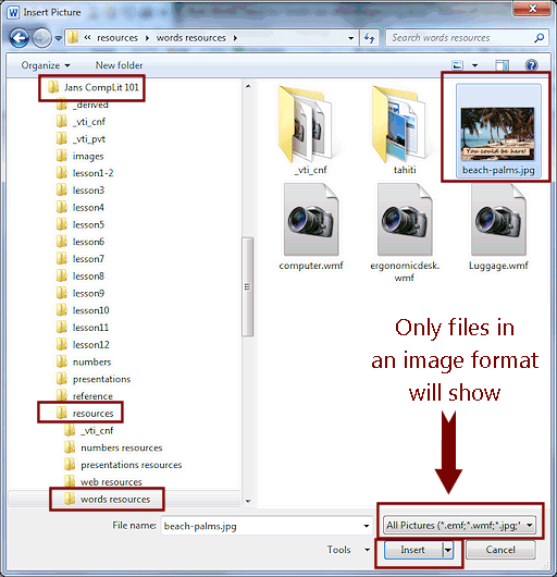 Dialog: Insert Picture - beach-palm.jpg
