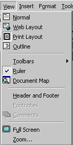View menu in Word 2000